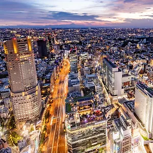 东急涩谷蓝塔大酒店，泛太平洋伙伴酒店 ***** 東京都