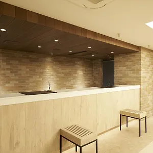 3* Отель Sotetsu Fresa Ginza Sanchome